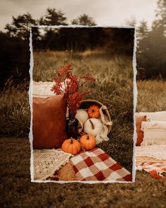 an outdoor picnic setting with pumpkins and other items