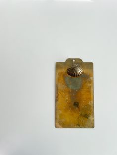 a piece of glass with a shell on it hanging from the wall in front of a white background