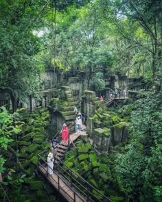 some people are standing on stairs in the woods with moss growing all over them and trees