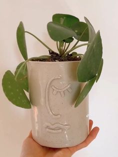 a hand holding a potted plant that has been painted with the letter c on it