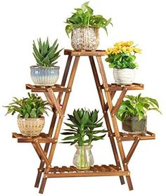 a wooden plant stand with potted plants on top and bottom tiers holding various types of houseplants