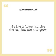 a quote that reads be like a flower, survive the rain but use it to grow