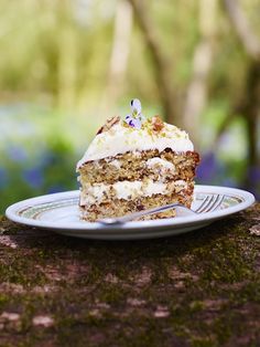 a piece of cake sitting on top of a white plate next to a tree trunk