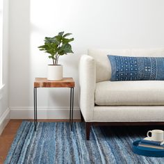 a living room with a couch, coffee table and potted plant