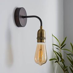 an old fashioned light bulb mounted on the wall next to a potted green plant