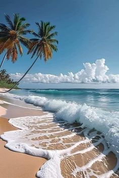 two palm trees on the beach with waves coming in from the ocean and blue sky