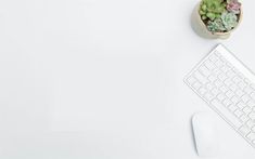 an overhead view of a keyboard, mouse and succulents on a white desk