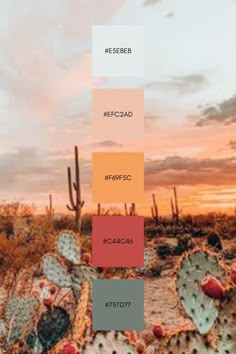 the desert with cactus and cacti is shown in shades of red, orange, yellow