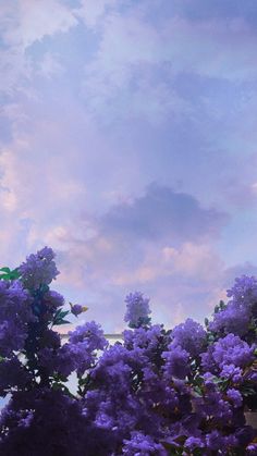 purple flowers are blooming in front of a blue sky with white puffy clouds