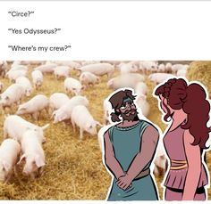 an image of a man and woman standing in front of some sheep that are grazing