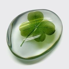 a leaf in a glass bowl on a white surface