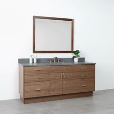 a bathroom vanity with two sinks and a large mirror on the wall above it, along with a potted plant