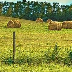 a painting of hay bales in a grassy field