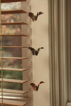 three butterflies are flying in the air near a window with blinds on it and one is upside down