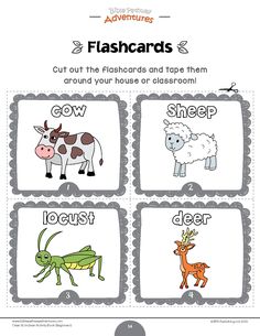 the flashcards are for children to learn how to write and draw pictures with animals