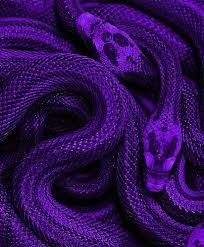 purple snake skin with skulls on it