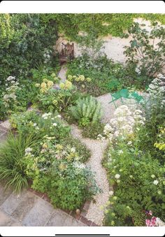 an aerial view of a garden with lots of plants