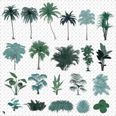 Cutout Assemble Vegetation 2 PSD | Toffu Co Plant Symbol, Caricature Wedding Invitations, Tree Photoshop, Caricature Wedding, 2d Drawing, Architecture Presentation Board, Vector Trees, Tree Silhouette, Plant Illustration