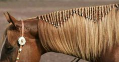 a close up of a horse with long blonde hair and beads on it's mane