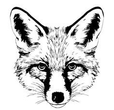 a black and white drawing of a fox's face