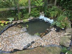 a pond surrounded by rocks and plants in a backyard area with gravel around the edges