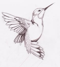 the hummingbird is flying in the air with it's wings spread