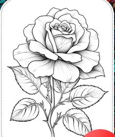 a drawing of a rose with leaves on it