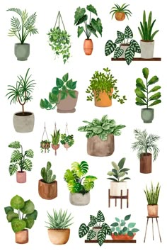 a bunch of potted plants are shown in different colors and sizes, including one green plant