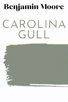 the words carolina gull are shown in black and white on a light gray background