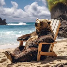 a large brown bear sitting on top of a wooden beach chair next to the ocean