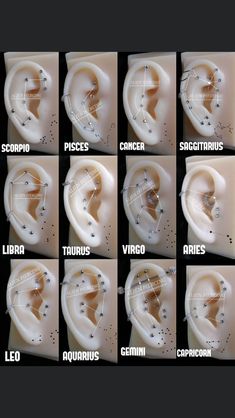 the different types of ear piercings are shown in this image, and each has their own name