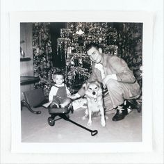 an old black and white photo of a man playing with two dogs in front of a christmas tree