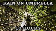 rain on umbrella with 10 hours remaining