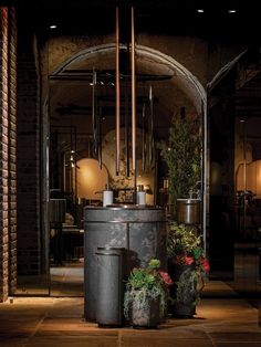 an industrial kitchen with potted plants in the middle