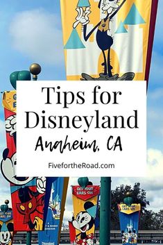 a sign that says tips for disneyland and anaheim, ca with cartoon characters on it