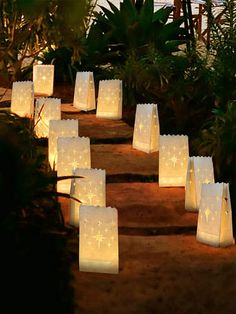 lighted paper bags are lined up on the ground in front of some plants and trees