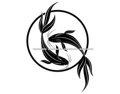 two black and white koi fish in a circle