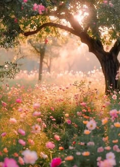 the sun shines brightly through the trees and flowers in this beautiful meadow filled with wildflowers