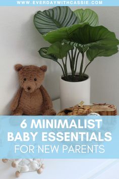 a teddy bear sitting next to a potted plant with the words 6 minimalist baby essentials for new parents