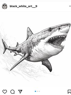 a drawing of a shark with its mouth open