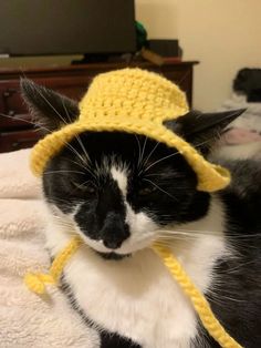 a black and white cat wearing a yellow hat