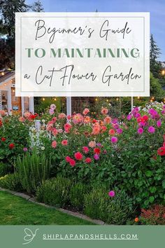 a sign that says beginner's guide to maintaining a cut flower garden