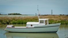 a small white boat floating on top of a lake next to tall grass and trees