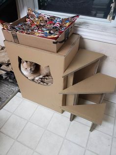 a cat is sitting in a cardboard box