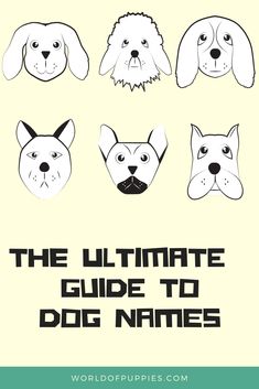 the ultimate guide to dog names