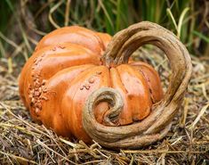 an orange pumpkin sitting on top of dry grass