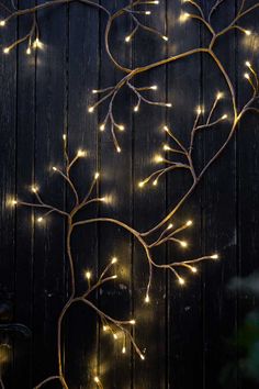 some lights that are on the side of a wooden wall and tree branches in front of it