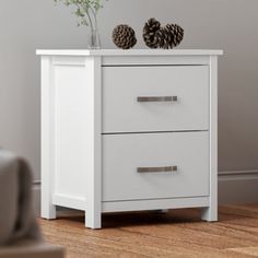 two pine cones sitting on top of a white cabinet