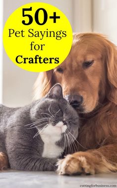 a dog and cat laying next to each other with the caption 50 pet sayings for crafters