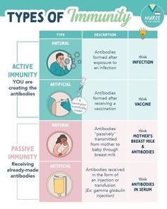 the four types of immunities in each type of body and how to use them